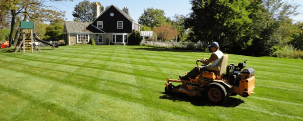 Lawn Care